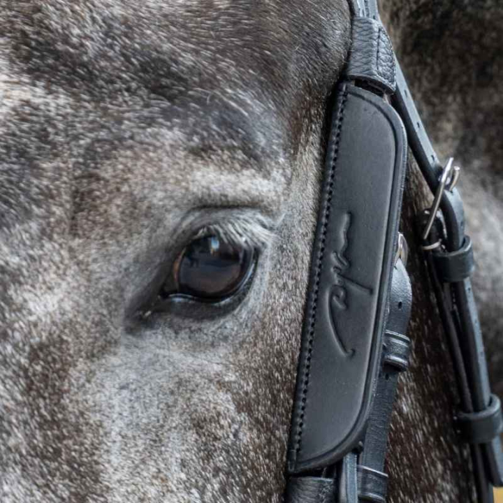 Focus / Knipperlichten 2-pack Zwart in de groep Paardenuitrusting / Hoofdstellen & Frontriemen / Hoofdstelaccessoires bij Equinest (0523BBL_S_r)