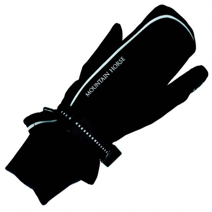 Winterhandschoen 3-vinger Triplex Zwart in de groep Rijkleding / Handschoenen bij Equinest (07043Sv_r)