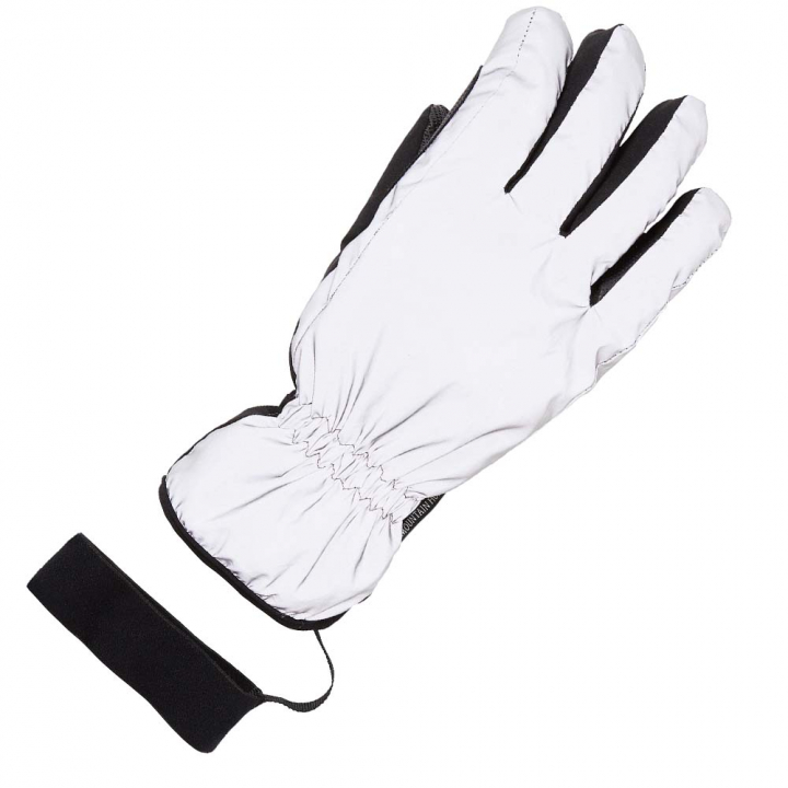 Winterhandschoen Flash Silver in de groep Rijkleding / Handschoenen bij Equinest (07081Si_r)