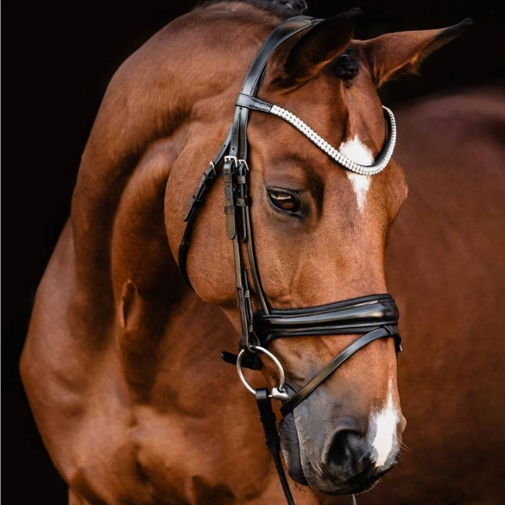 Dressuurhoofdstel Isabell Werth Johnny Zwart in de groep Paardenuitrusting / Hoofdstellen & Frontriemen / Kandare & Dressuurhoofdstel bij Equinest (1000911BA_r)