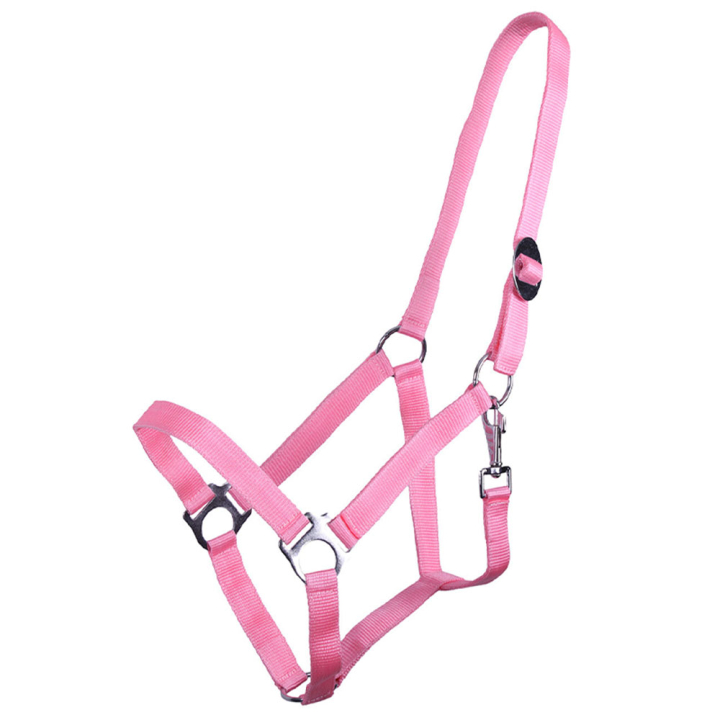 Halster Slide Lichtroze in de groep Paardenuitrusting / Halsters / Stof- & Nylon Halsters bij Equinest (1040FP1LPI_r)