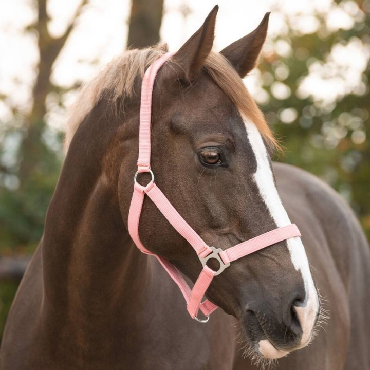 Halster Slide Lichtroze in de groep Paardenuitrusting / Halsters / Stof- & Nylon Halsters bij Equinest (1040FP1LPI_r)