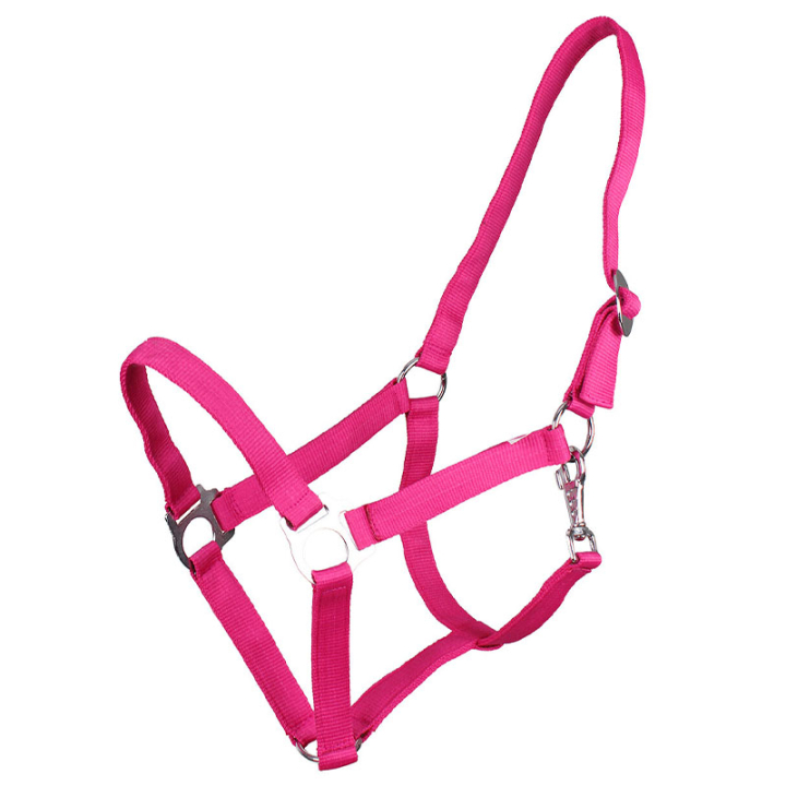 Halster Slide Fuchsia in de groep Paardenuitrusting / Halsters / Stof- & Nylon Halsters bij Equinest (1040FU1FU_r)