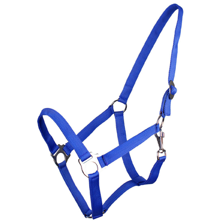 Halster Slide Blauw in de groep Paardenuitrusting / Halsters / Stof- & Nylon Halsters bij Equinest (1040KB1BL_r)