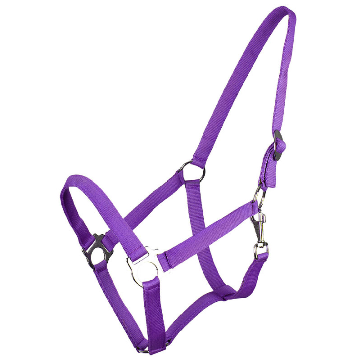 Halster Slide Paars in de groep Paardenuitrusting / Halsters / Stof- & Nylon Halsters bij Equinest (1040PF1PU_r)