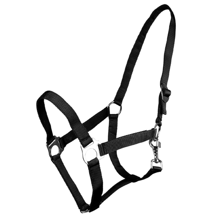 Halster Slide Zwart in de groep Paardenuitrusting / Halsters / Stof- & Nylon Halsters bij Equinest (1040ZW1BA_r)