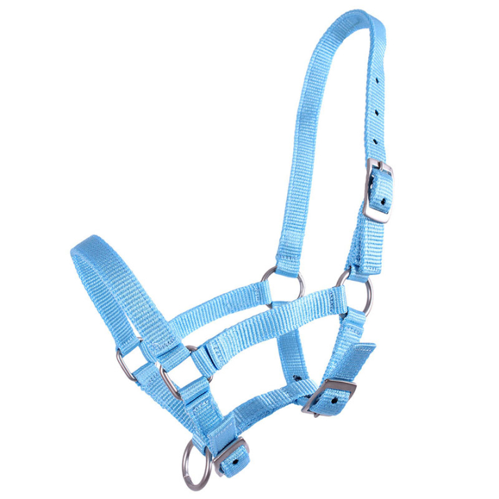 Veulenhalster Adjustable Lichtblauw in de groep Paardenuitrusting / Halsters / Veulen Halters bij Equinest (1047BBV1LBL_r)