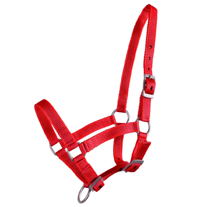 Veulenhalster Adjustable Rood in de groep Paardenuitrusting / Halsters / Veulen Halters bij Equinest (1047ROV1RE_r)