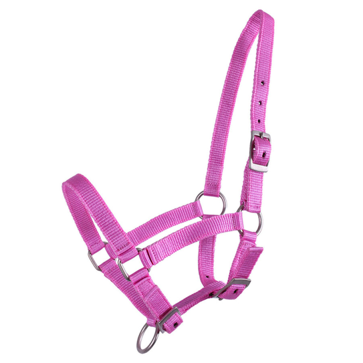 Veulenhalster Adjustable Roze in de groep Paardenuitrusting / Halsters / Veulen Halters bij Equinest (1047RZV1PI_r)