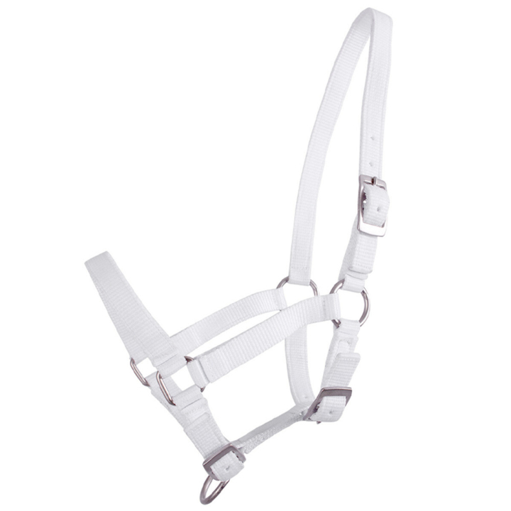 Veulenhalster Adjustable Wit in de groep Paardenuitrusting / Halsters / Veulen Halters bij Equinest (1047WIV1WH_r)