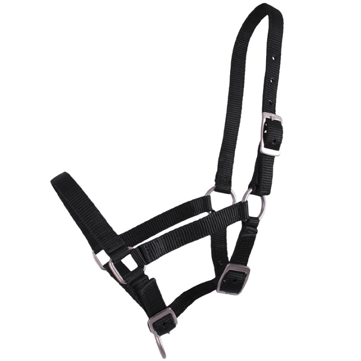 Veulenhalster Adjustable Zwart in de groep Paardenuitrusting / Halsters / Veulen Halters bij Equinest (1047ZWV1BA_r)