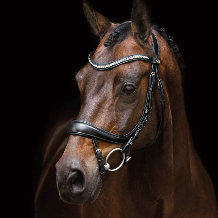 Hoofdstel Equitus Beta Zwart in de groep Paardenuitrusting / Hoofdstellen & Frontriemen / Hoofdstel bij Equinest (1101-00045Sv_r)