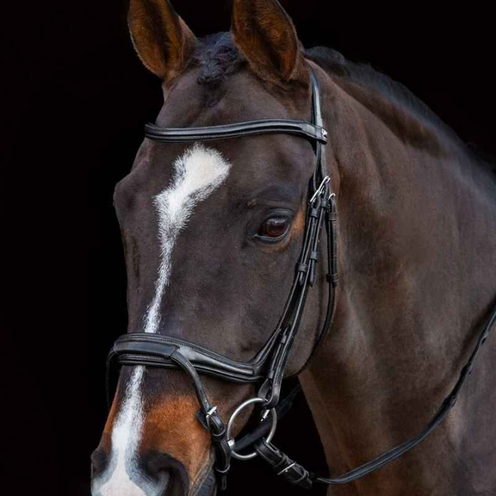 Hoofdstel Ancona Select Zwart in de groep Paardenuitrusting / Hoofdstellen & Frontriemen / Hoofdstel bij Equinest (1101000731BA_r)