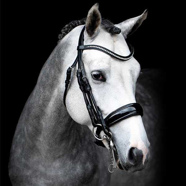 Kandarhoofdstel Venice Zwart/Lak in de groep Paardenuitrusting / Hoofdstellen & Frontriemen / Kandare & Dressuurhoofdstel bij Equinest (1111-00009SvL_r)