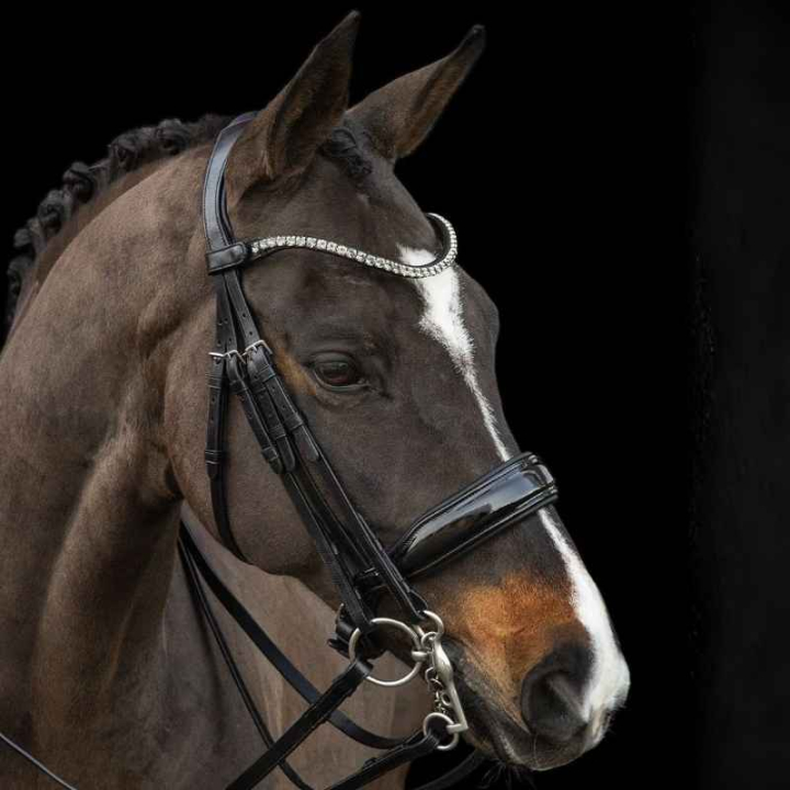 Kandarhoofdstel Milazzo Zwart in de groep Paardenuitrusting / Hoofdstellen & Frontriemen / Kandare & Dressuurhoofdstel bij Equinest (1111000161BA_r)
