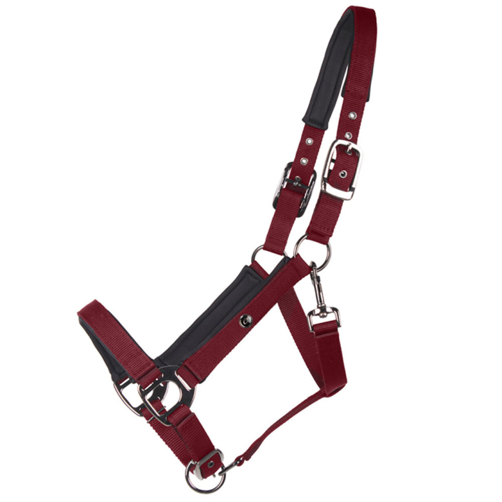 Halster Deluxe Bordeaux in de groep Paardenuitrusting / Halsters / Stof- & Nylon Halsters bij Equinest (1125BO3WN_r)