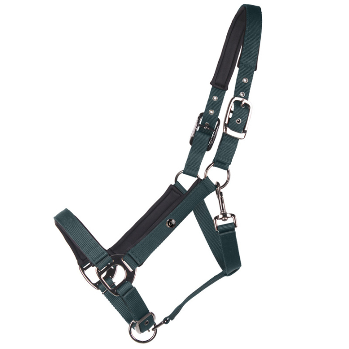 Halster Deluxe Donkergroen in de groep Paardenuitrusting / Halsters / Stof- & Nylon Halsters bij Equinest (1125DGR3DGN_r)