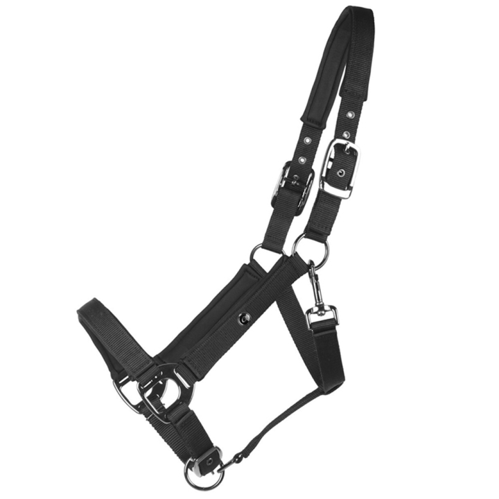 Halster Deluxe Zwart in de groep Paardenuitrusting / Halsters / Stof- & Nylon Halsters bij Equinest (1125ZW3BA_r)