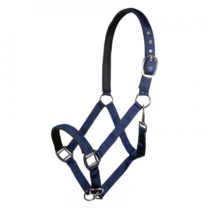 Halster Charming Marineblauw in de groep Paardenuitrusting / Halsters / Stof- & Nylon Halsters bij Equinest (13429Ma_r)