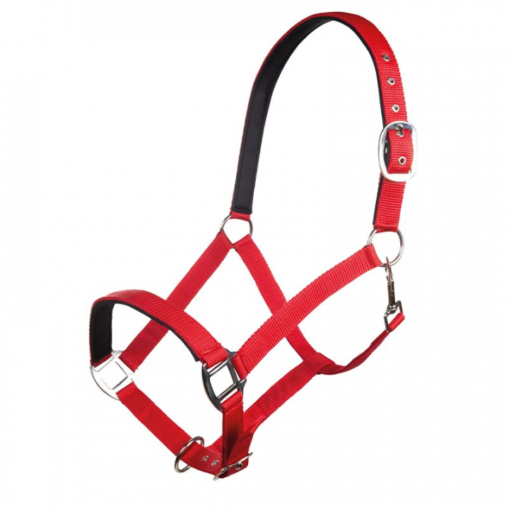 Halster Charming Rood in de groep Paardenuitrusting / Halsters / Stof- & Nylon Halsters bij Equinest (13429Rs2_r)