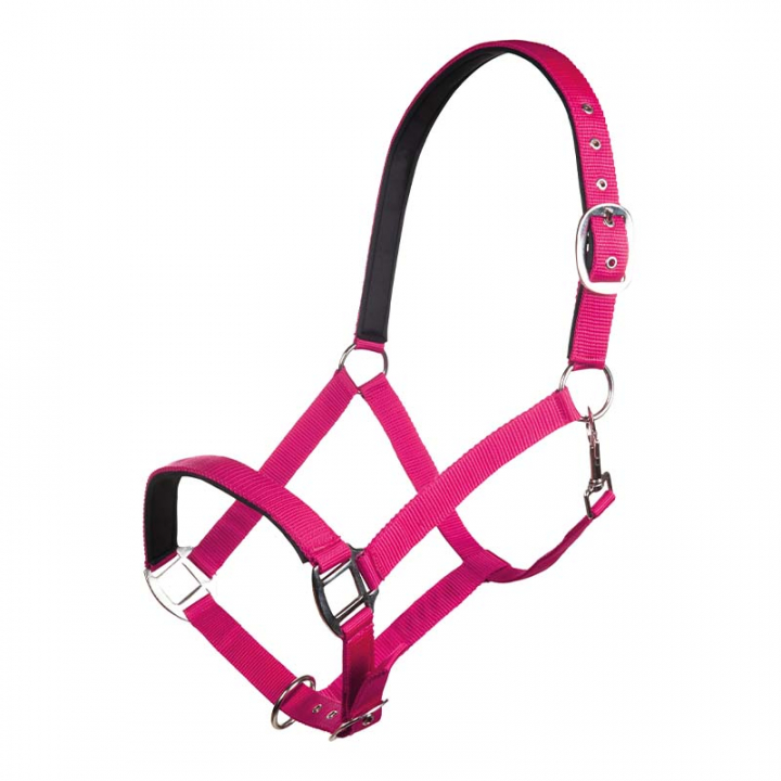 Halster Charming Roze in de groep Paardenuitrusting / Halsters / Stof- & Nylon Halsters bij Equinest (13429Rs_r)