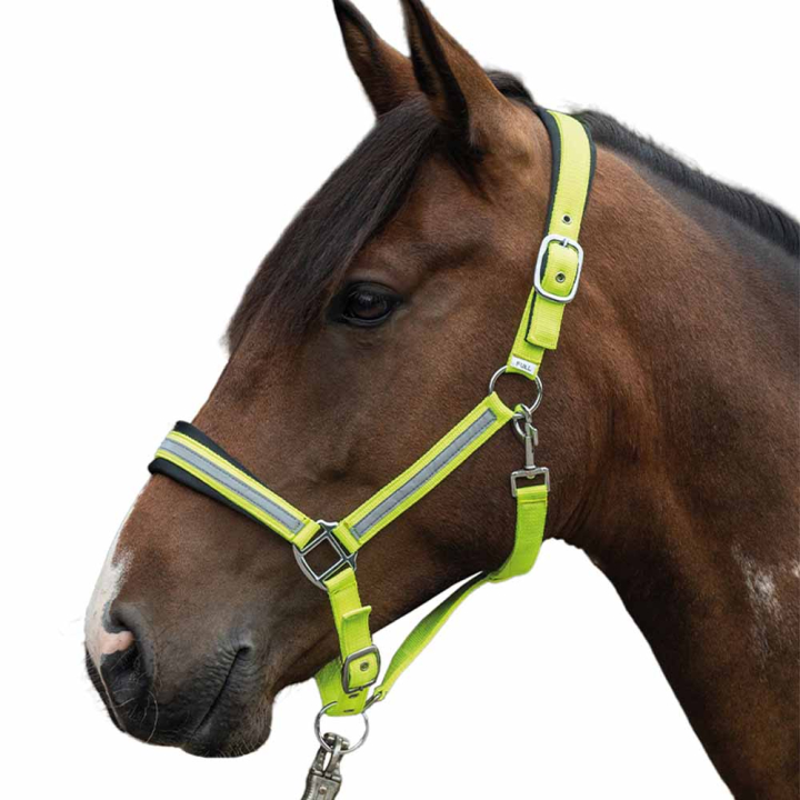 Halster Reflecterend Geel/Zilver in de groep Rijuitrusting / Reflectoren bij Equinest (14191YE)