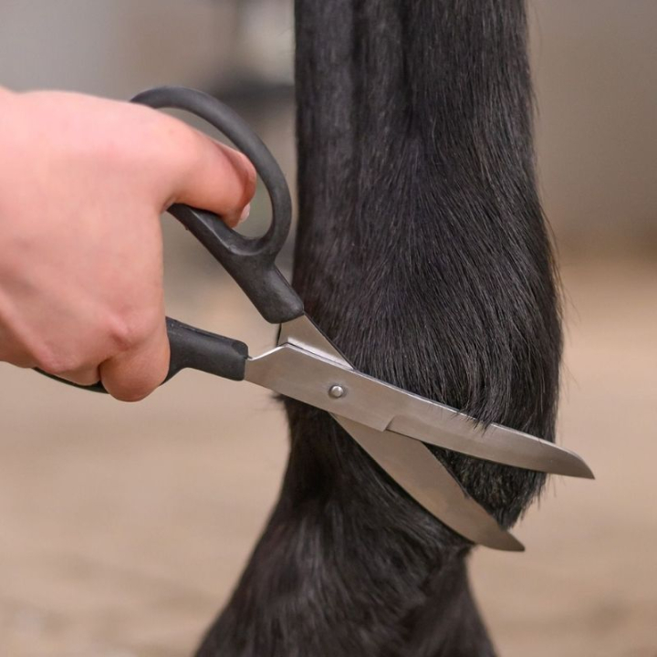 Schaar Fetlock Shears Bend Zwart in de groep Paardenverzorging en Verzorging / Borstels / Scharen & Trimmesjes bij Equinest (154200BA)