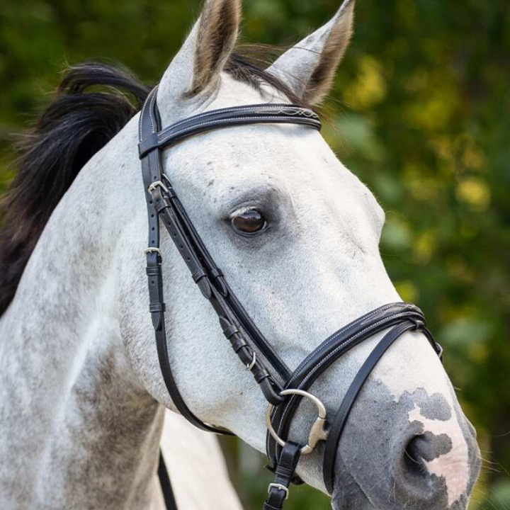 Anatomisch Hoofdstel Luxury Stitched Zwart in de groep Paardenuitrusting / Hoofdstellen & Frontriemen / Hoofdstel bij Equinest (2021ZW1BA_r)