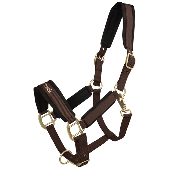 Halster Werano Bruin in de groep Paardenuitrusting / Halsters / Stof- & Nylon Halsters bij Equinest (20640700BR_r)