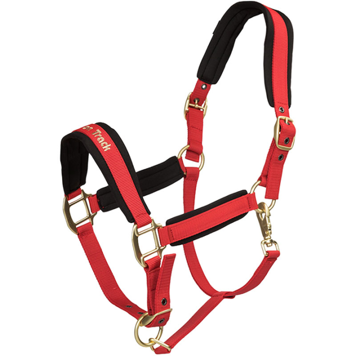 Halster Werano Rood in de groep Paardenuitrusting / Halsters / Stof- & Nylon Halsters bij Equinest (20644001RE_r)