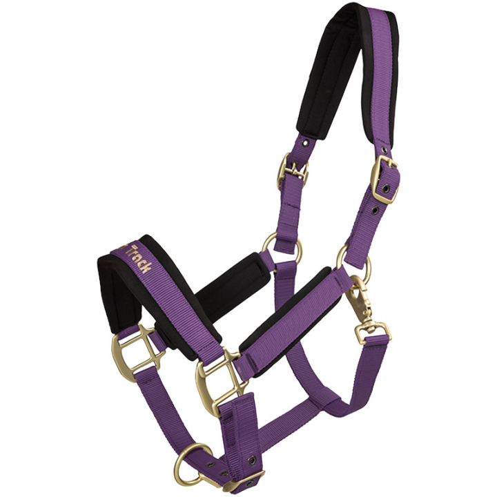 Halster Werano Paars in de groep Paardenuitrusting / Halsters / Stof- & Nylon Halsters bij Equinest (20644601PU_r)