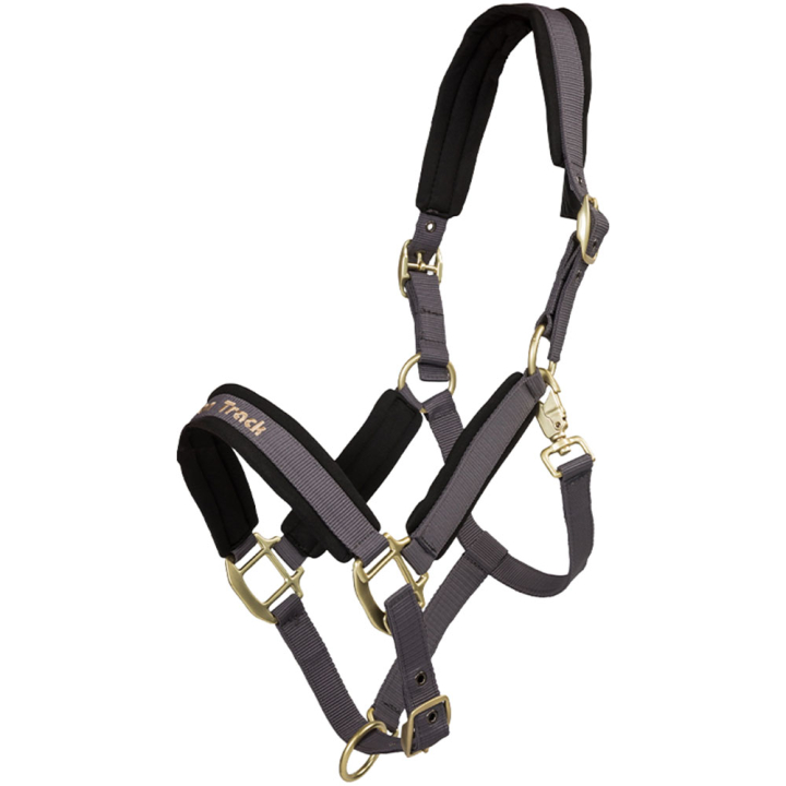 Halster Werano Grijs in de groep Paardenuitrusting / Halsters / Stof- & Nylon Halsters bij Equinest (20648701GR_r)