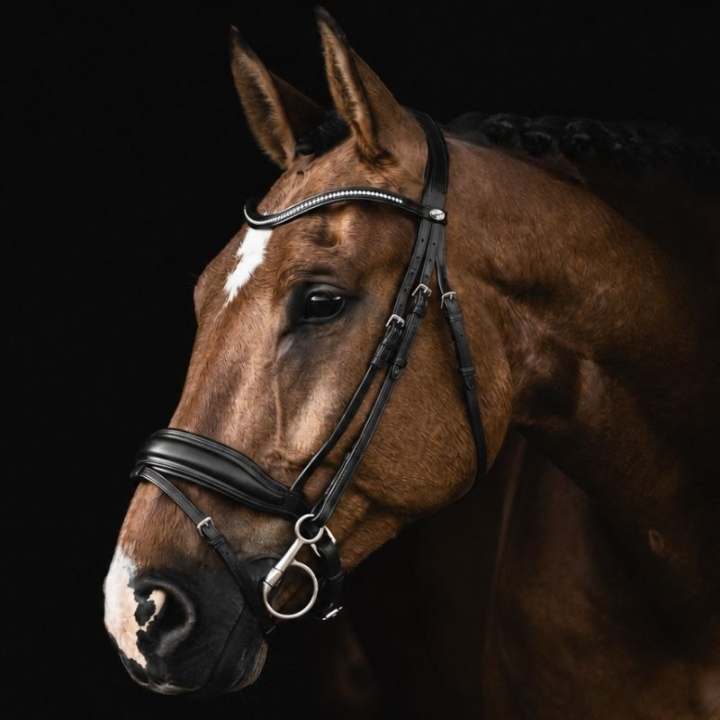 Dressuurhoofdstel Integro Zwart in de groep Paardenuitrusting / Hoofdstellen & Frontriemen / Kandare & Dressuurhoofdstel bij Equinest (208613Sv_r)