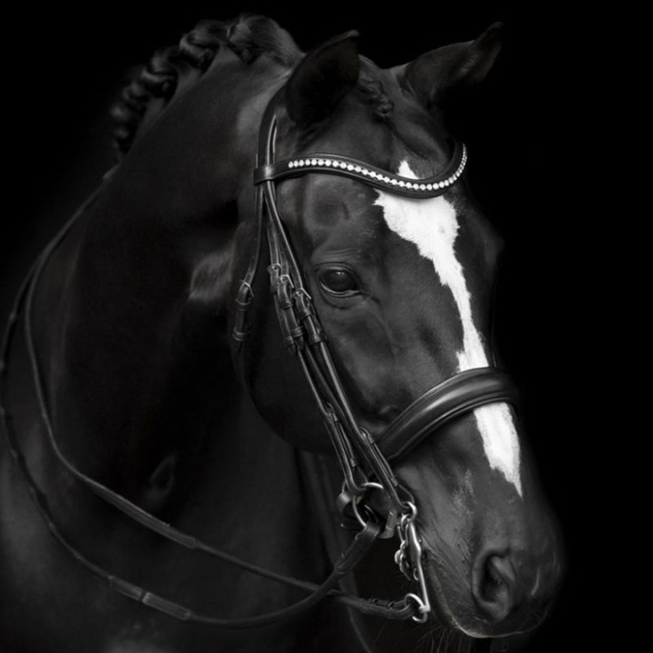 Kandare Delicato Supreme Zwart in de groep Paardenuitrusting / Hoofdstellen & Frontriemen / Kandare & Dressuurhoofdstel bij Equinest (208813BA_r)