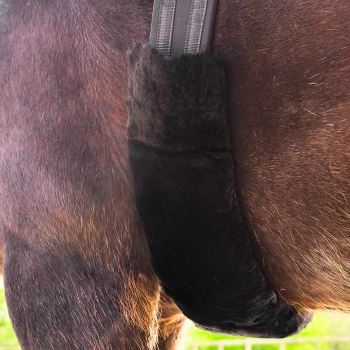 Singelhoes Lambskin Zwart in de groep Paardenuitrusting / Singels / Singelstangentunnels bij Equinest (21443001BA)