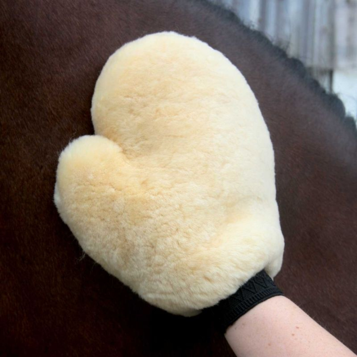 Poetshandschoen Lambskin Natuur in de groep Paardenverzorging en Verzorging / Borstels / Verzorgingshandschoenen bij Equinest (21445002NAT)
