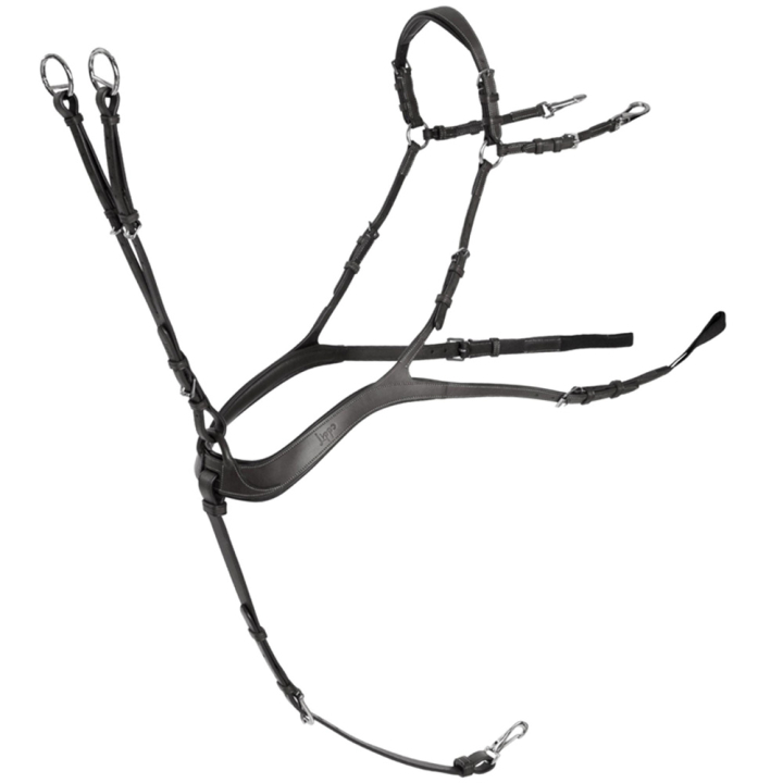Anatomisch Voorbieg met Martingal Zwart/Zilver in de groep Paardenuitrusting / Martingaal & Borsttuig / Borsttuig bij Equinest (235813BASI_r)