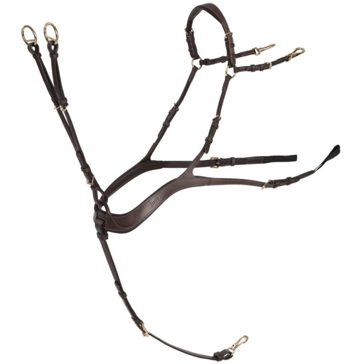 Anatomisch Voorbieg met Martingal Chocolate/Goud in de groep Paardenuitrusting / Martingaal & Borsttuig / Borsttuig bij Equinest (235873CHGO_r)