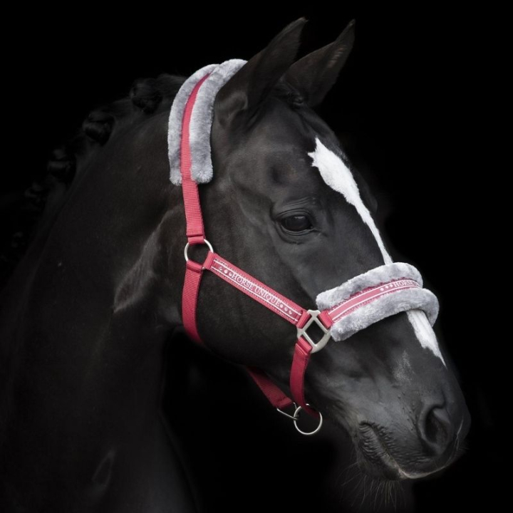Halster met Fleece Rood/Grijs in de groep Paardenuitrusting / Halsters / Stof- & Nylon Halsters bij Equinest (243082REGR_r)