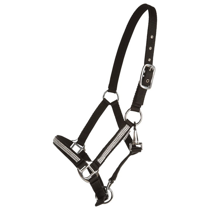 Halster Mini Strass Zwart in de groep Paardenuitrusting / Halsters bij Equinest (243410BA_r)