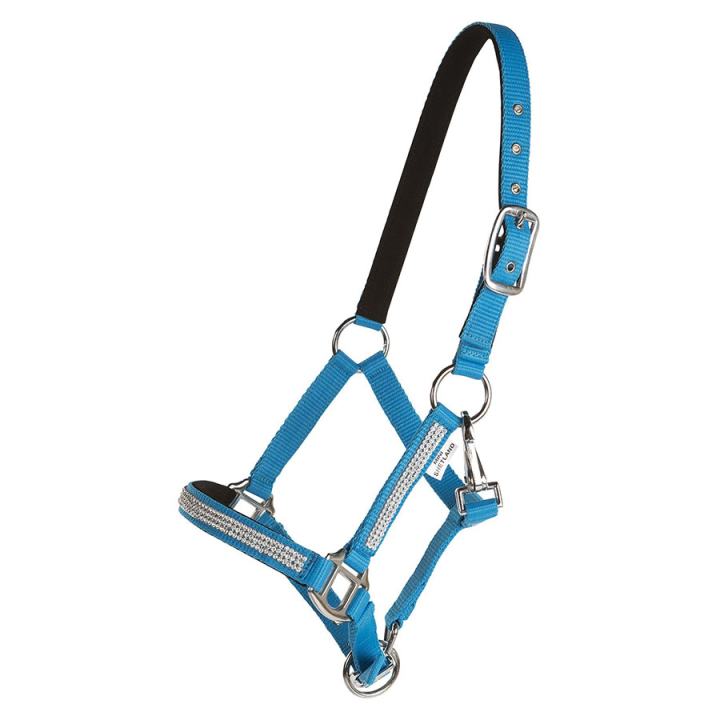 Halster Mini Strass Blauw in de groep Paardenuitrusting / Halsters bij Equinest (243420BL_r)
