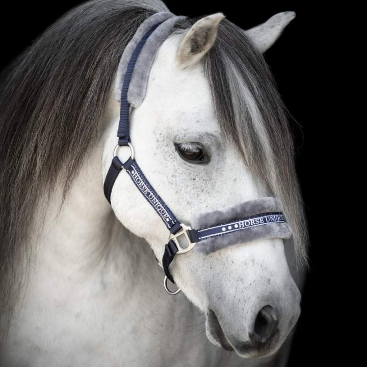 Halster met Fleece Marineblauw/Grijs in de groep Paardenuitrusting / Halsters / Stof- & Nylon Halsters bij Equinest (243720NAGR_r)