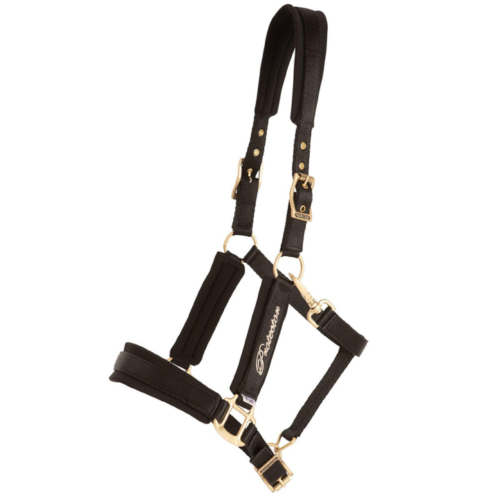 Halster Comfort Zwart in de groep Paardenuitrusting / Halsters bij Equinest (244312BA_r)