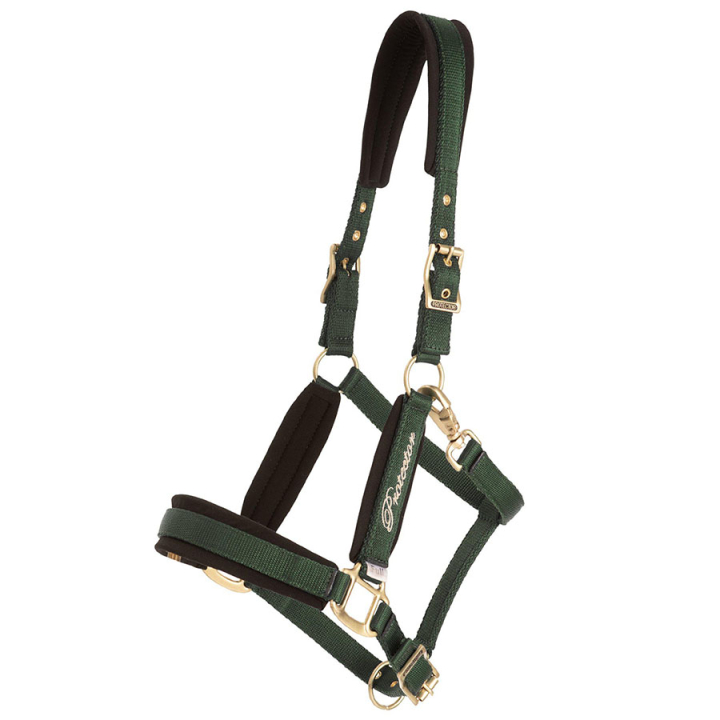 Halster Comfort Groen in de groep Paardenuitrusting / Halsters bij Equinest (244332GN_r)