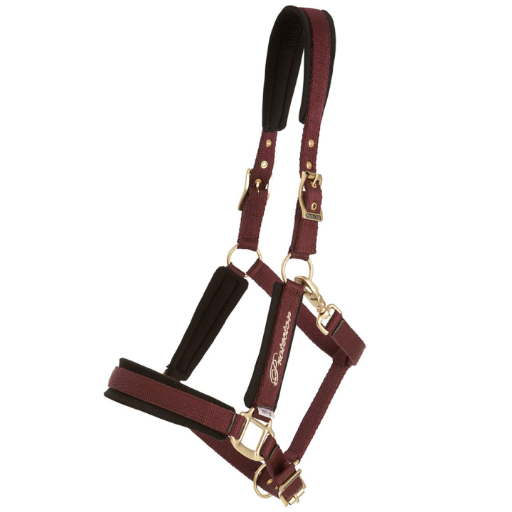 Halster Comfort Bordeaux in de groep Paardenuitrusting / Halsters bij Equinest (244342WN_r)