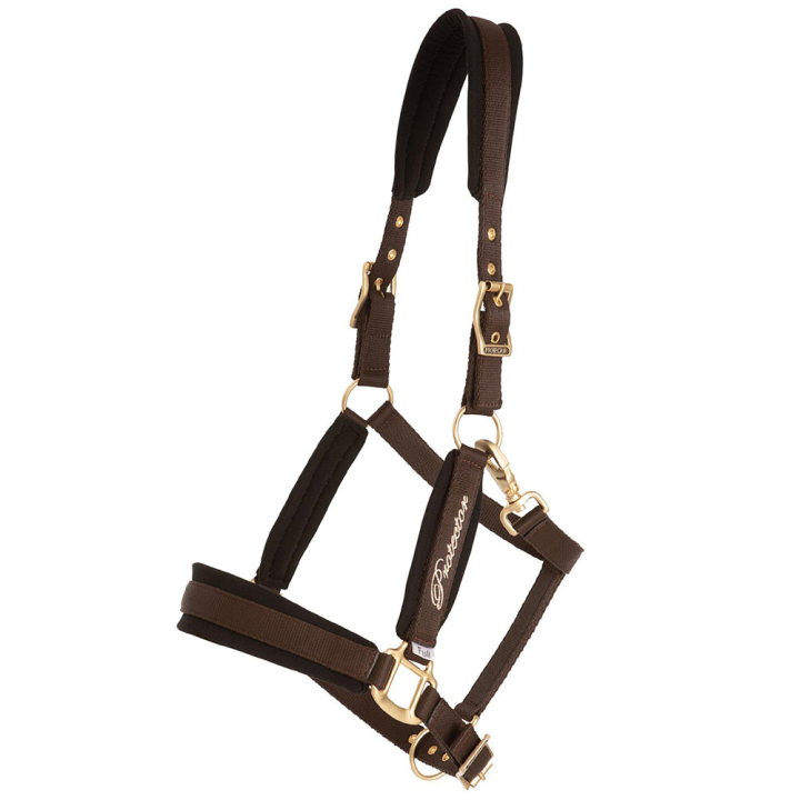 Halster Comfort Bruin in de groep Paardenuitrusting / Halsters bij Equinest (244352BR_r)