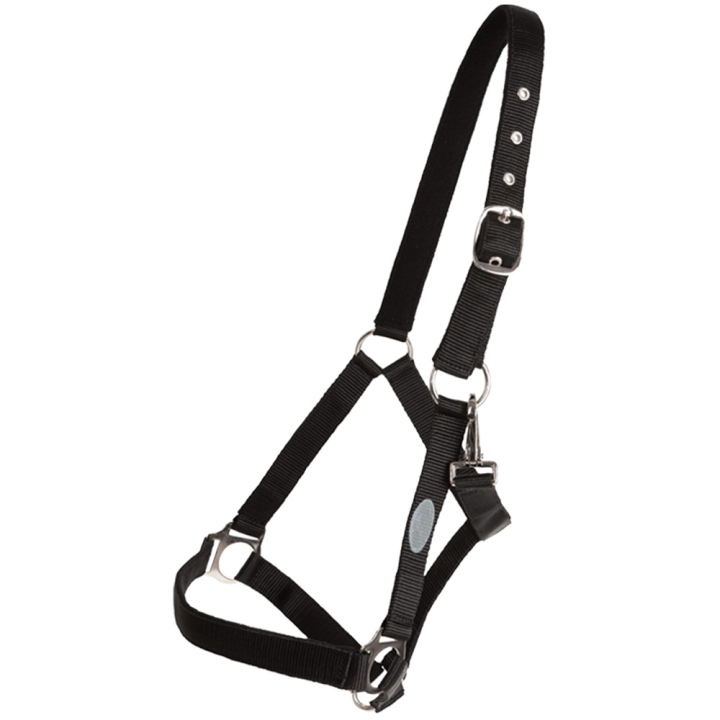 Halster Basic Zwart in de groep Paardenuitrusting / Halsters / Stof- & Nylon Halsters bij Equinest (244912BA_r)