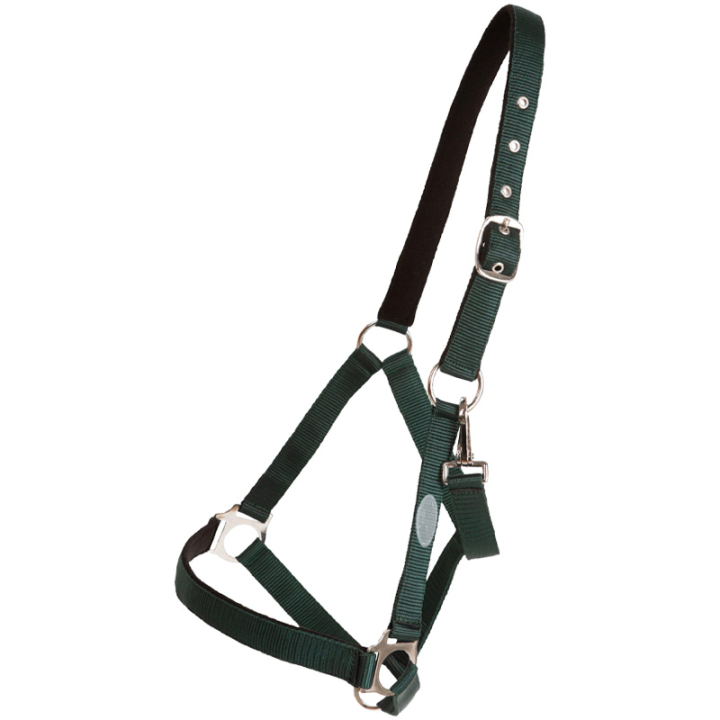 Halster Basic Groen in de groep Paardenuitrusting / Halsters / Stof- & Nylon Halsters bij Equinest (244932GN_r)