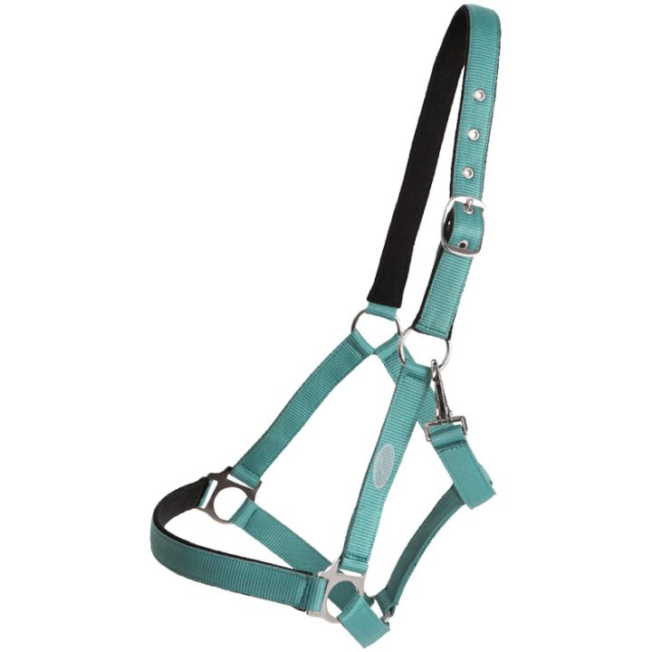 Halster Basic Turkoois in de groep Paardenuitrusting / Halsters / Stof- & Nylon Halsters bij Equinest (244942TU_r)
