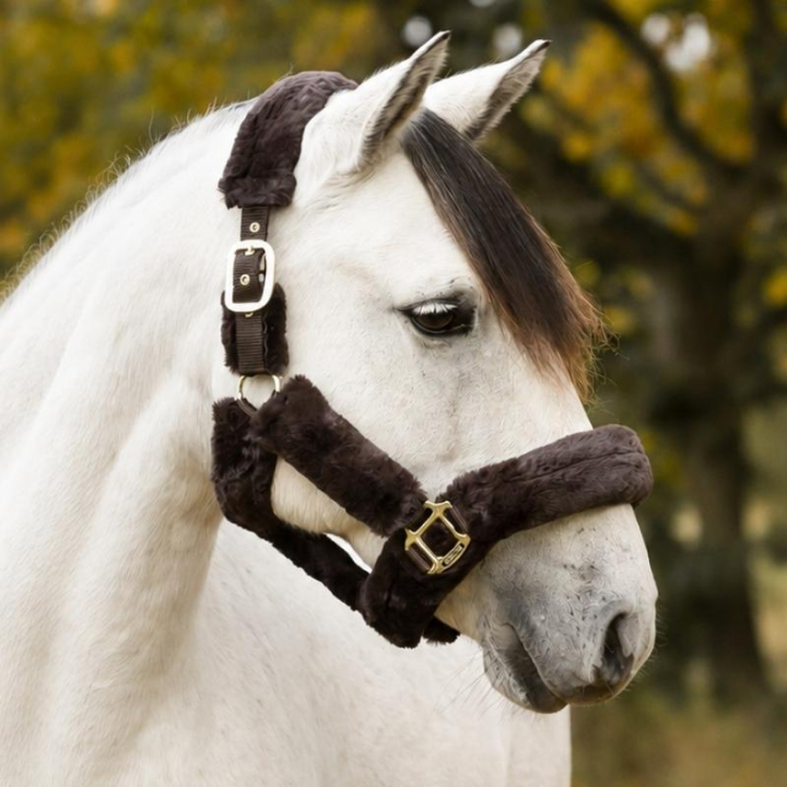 Grimriem Cozy met Bont Bruin/Bruin in de groep Paardenuitrusting / Halsters / Stof- & Nylon Halsters bij Equinest (246012Br_r)